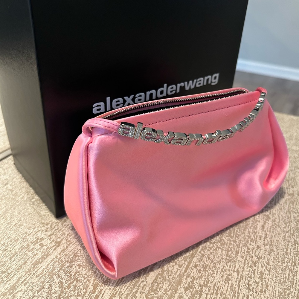 ✨ Alexander Wang Bag✨